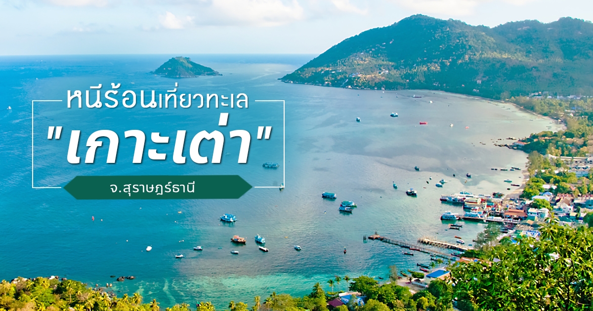 รวม 6 สถานที่ยอดฮิต ถ่ายรูป เกาะเต่า (จังหวัดสุราษฎร์ธานี) 2567 ปักหมุดพิกัดน่าเที่ยว ที่ห้ามพลาด!!