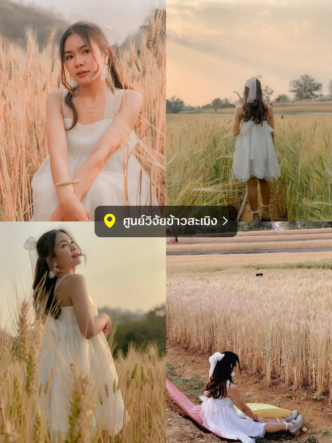 แจกพิกัด 9 โลเด็ด ถ่ายรูปปังในเ กาญจนบุรี 2567 เที่ยวสนุกสุดเพลิดเพลิน พิชิตทะเลหมอก