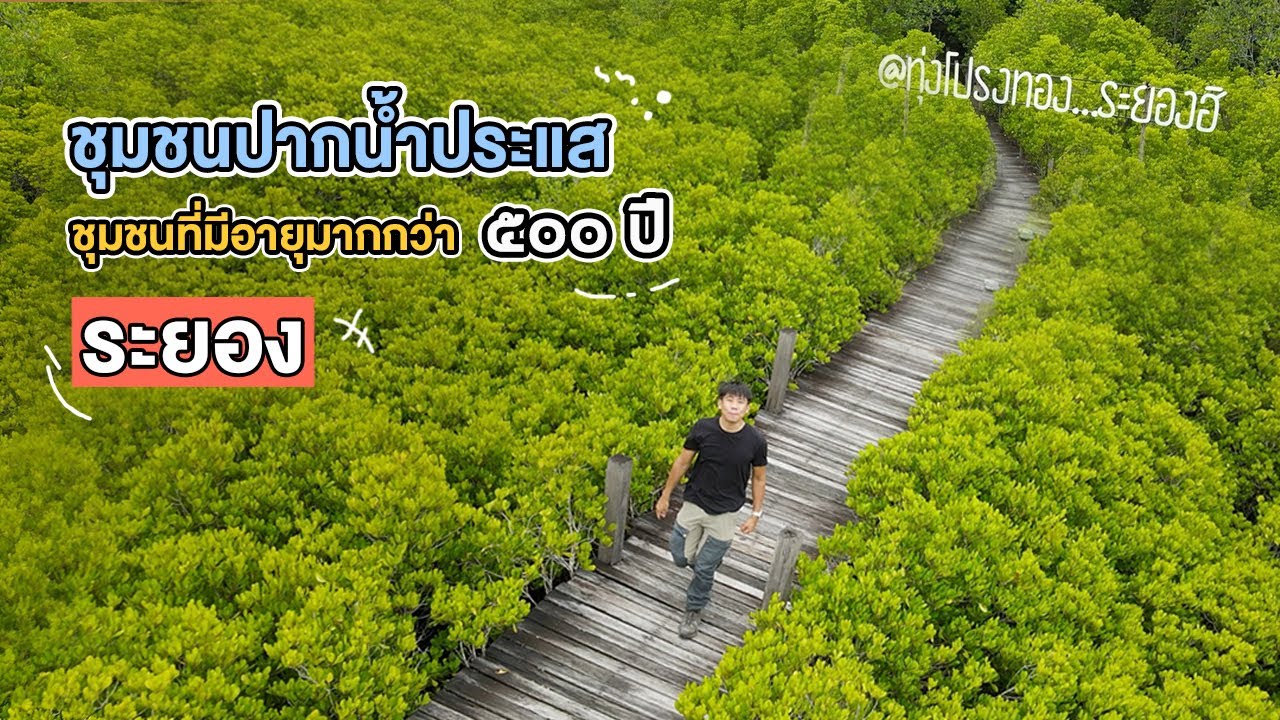 7พิกัด สุดชิลในเมืองเ หาดปากน้ำประแส (จังหวัดระยอง) 2567 เอาใจสายเที่ยว สายถ่ายรูป