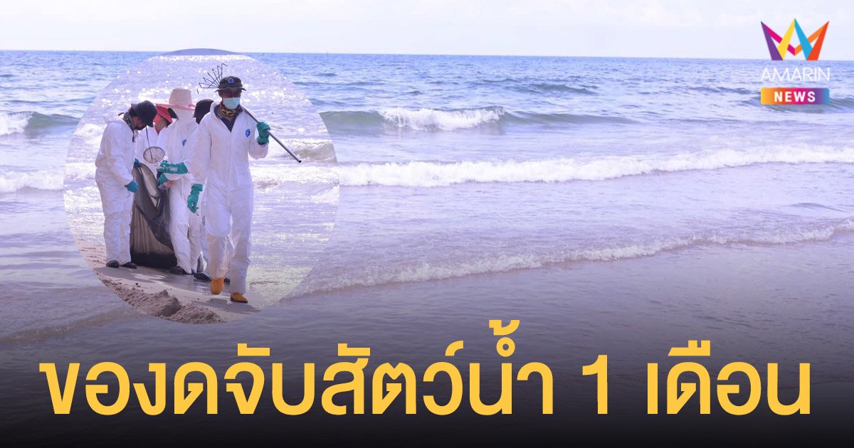 อัพเดทพิกัด 12 ที่เที่ยว หาดแม่รำพึง (จังหวัดระยอง) 2567 ที่เที่ยวถ่ายรูปสวย