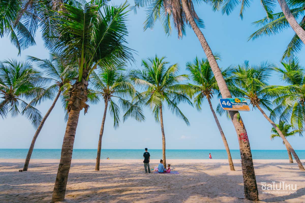 แพลนเที่ยว หาดบางแสน (จังหวัดชลบุรี) 2567 เที่ยวชิล ชมวิวสวย โอบกอดทะเลภูเขา