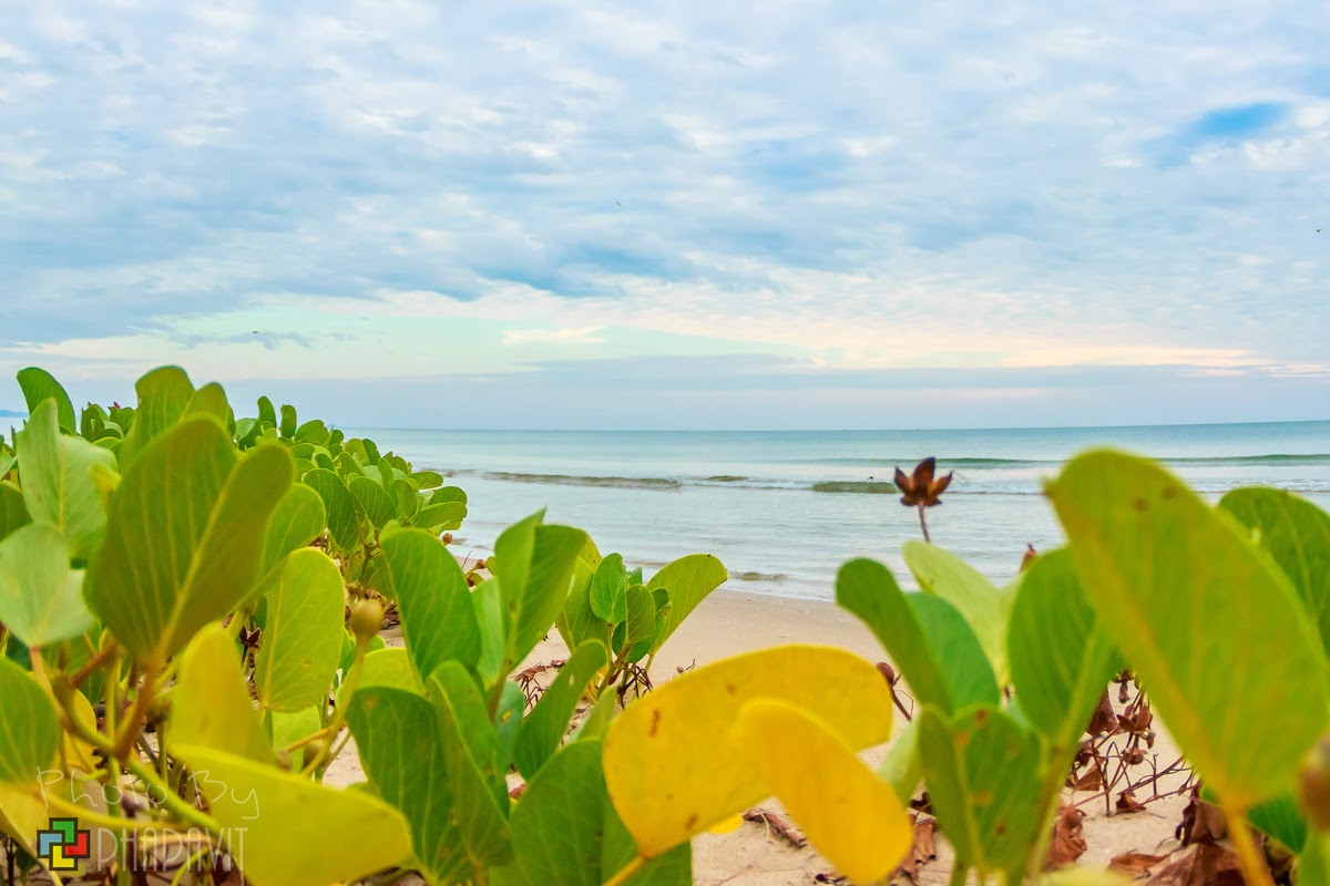 แพลนเที่ยว หาดแม่รำพึง (จังหวัดระยอง) 2567 น่าไป เที่ยวได้ในวันเดียว