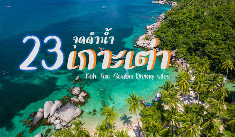 รวม 7 พิกัด ที่เที่ยวในตัวเมืองเ เกาะเต่า (จังหวัดสุราษฎร์ธานี) 2567 เเจกทริค ใส่บิกินี่ 👙นั่งโพสท่า ยังไง??ให้ปัง!!🌞